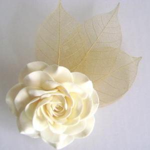Ivory Rose and Skeleton Leaves Brid..