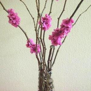 Wedding Decoration/reception/favor - Pink Cherry..